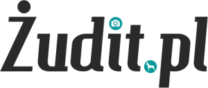 cropped-zudit_logo